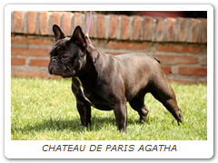 CHATEAU DE PARIS AGATHA