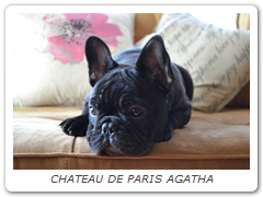 CHATEAU DE PARIS AGATHA