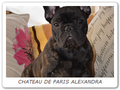 CHATEAU DE PARIS ALEXANDRA