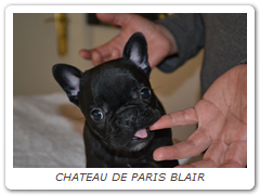 CHATEAU DE PARIS BLAIR
