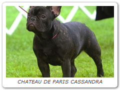 CHATEAU DE PARIS CASSANDRA