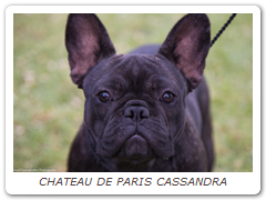 CHATEAU DE PARIS CASSANDRA